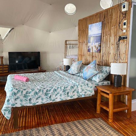 Glamping Dome Dauin Beach Resort Dış mekan fotoğraf